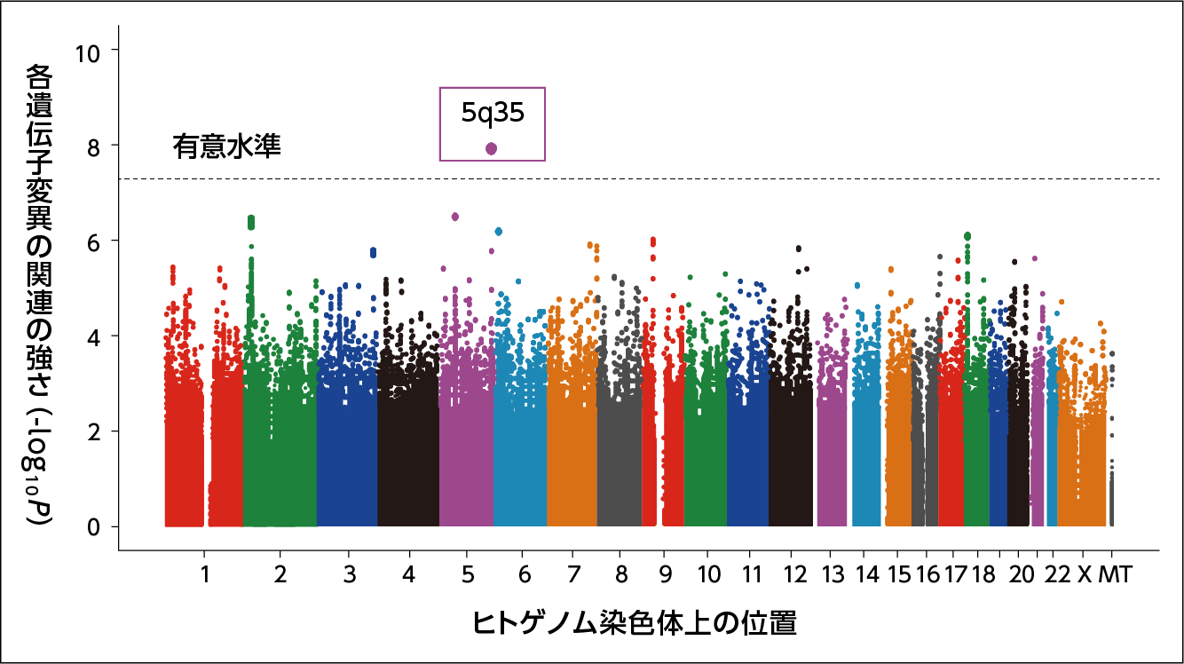 図：日本人集団大規模ゲノム解析によるCOVID-19重症化因子候補の同定