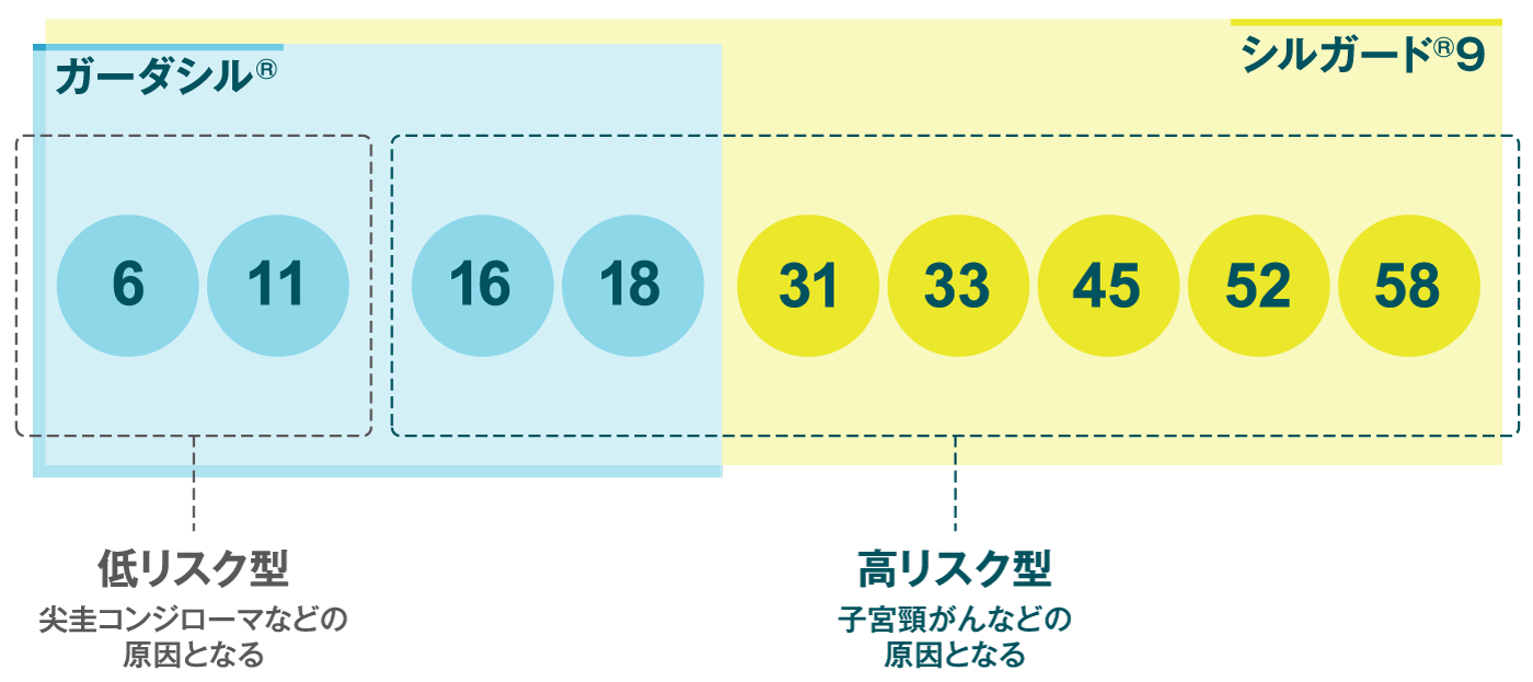 シルガード9に含まれる9つのHPV型
ガーダシル、6、11、16、18型、
シルガード9、16、18、31、33、45、52、58型