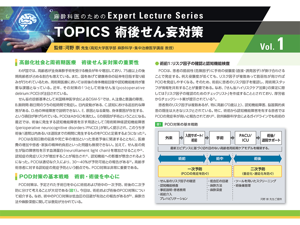 術後せん妄対策（麻酔科医のためのExpert Lecture Series Vol.1）