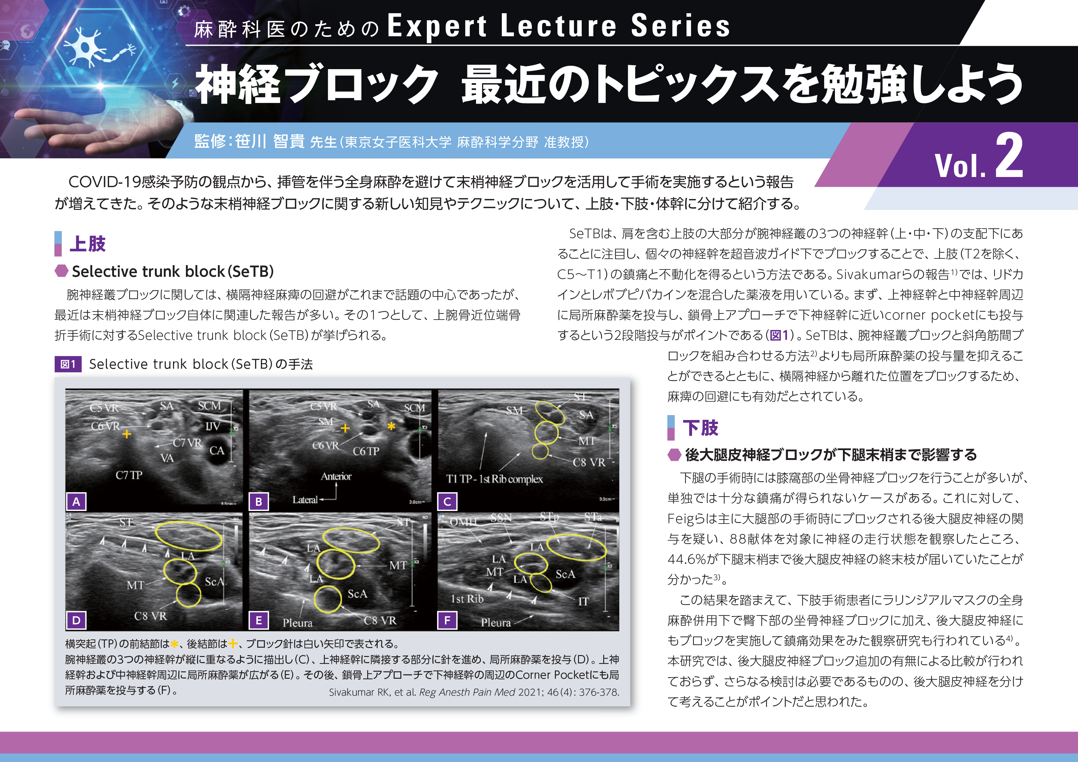 神経ブロック（麻酔科医のためのExpert Lecture Series Vol.2）