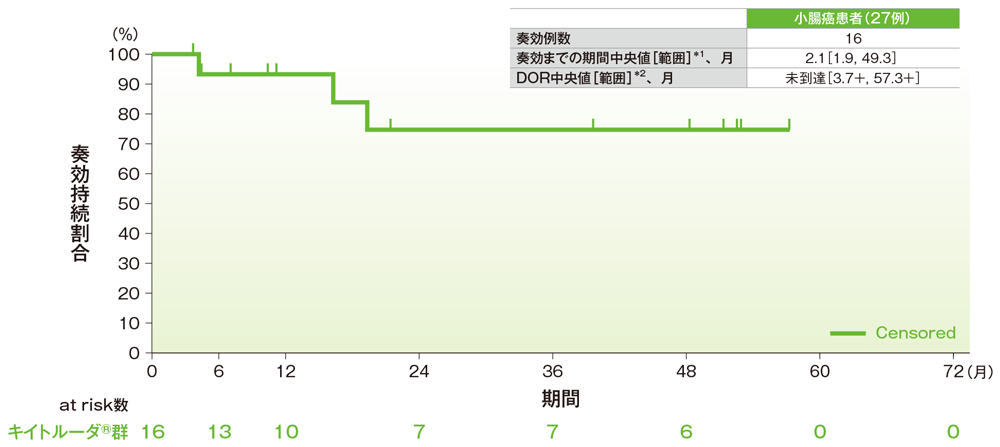 奏効期間（DOR）のKaplan-Meier曲線（小腸癌）
