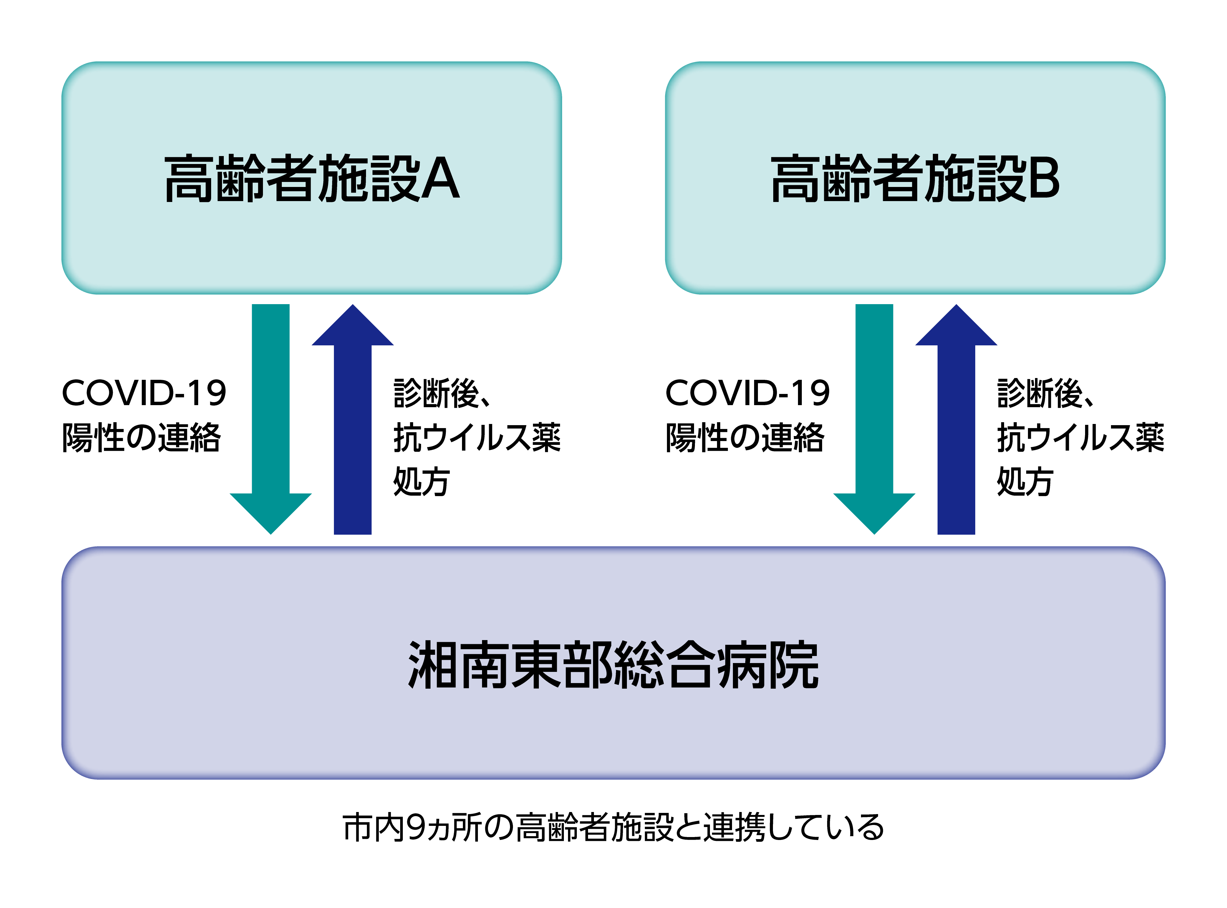 図1　茅ヶ崎市内の高齢者施設との連携体制