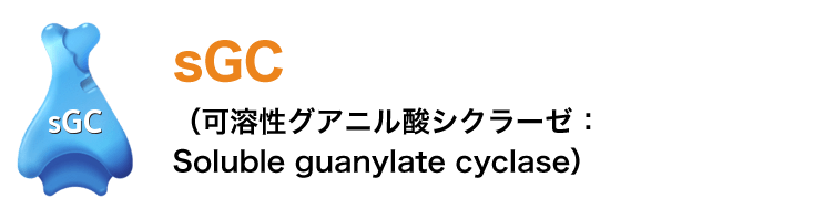 sGC