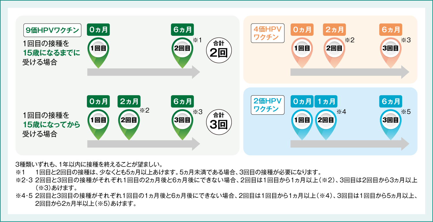 定期接種における一般的な接種スケジュール