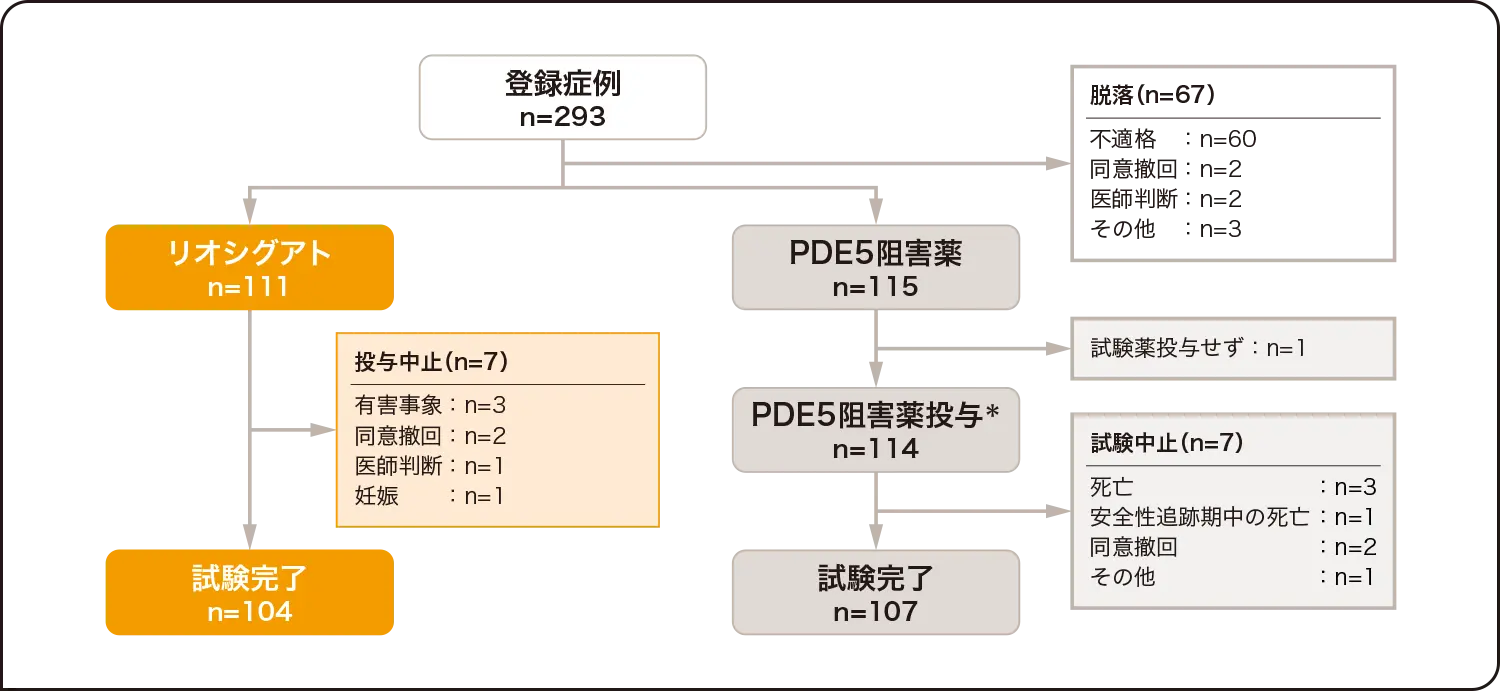 国際共同第Ⅳ相並行群間比較試験（REPLACE試験）患者内訳