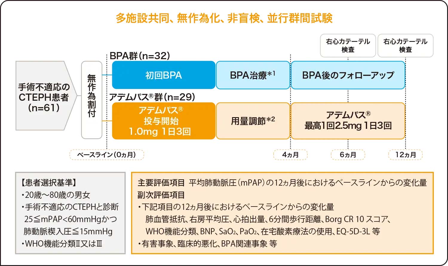 国内無作為化比較試験（MR BPA試験） 試験概要