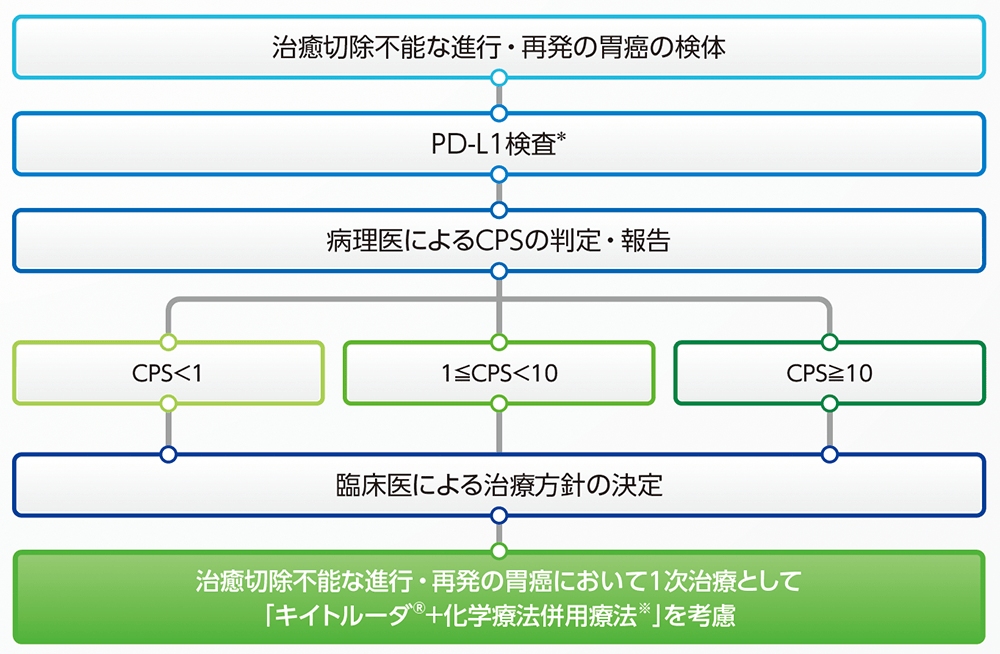 PD-L1 IHC 22C3 pharmDx「ダコ」（ASL48用）によるPD-L1検査のタイミング