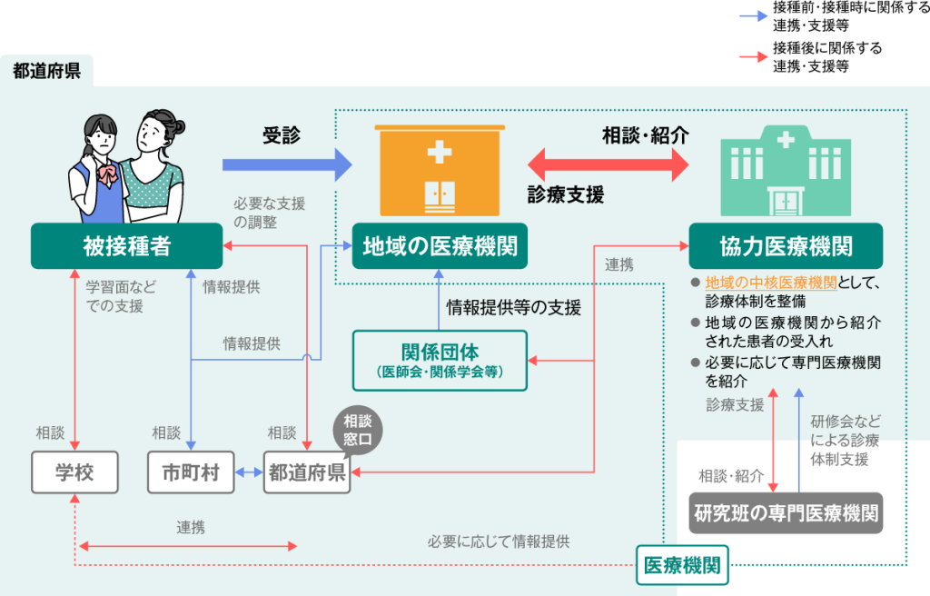 地域におけるHPVワクチン接種にかかる診療・相談体制