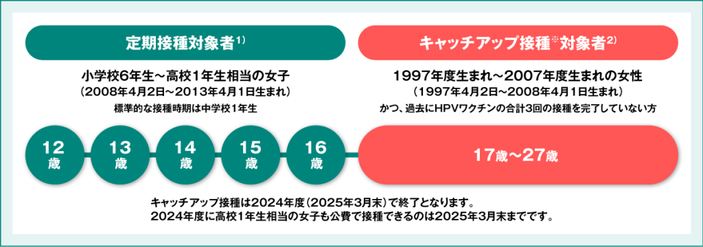 HPVワクチンの公費助成 2024年度の対象年齢