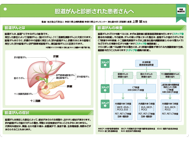 キイトルーダ®インフォームドコンセント用資料　患者説明用下敷き：＜胆道癌＞