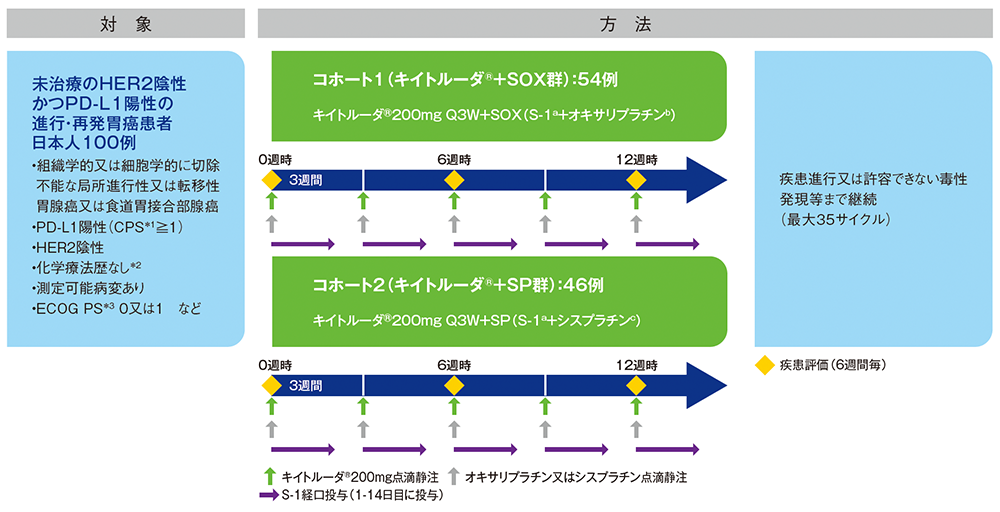 〈HER2陰性〉KEYNOTE-659試験 | 臨床成績 | キイトルーダ® 胃癌 | MSD Connect