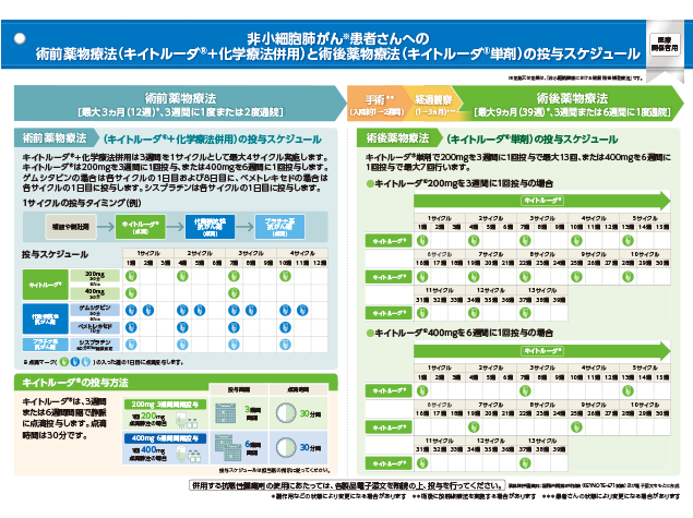 キイトルーダ®インフォームドコンセント用資料　患者説明用下敷き：＜非小細胞肺癌＞周術期