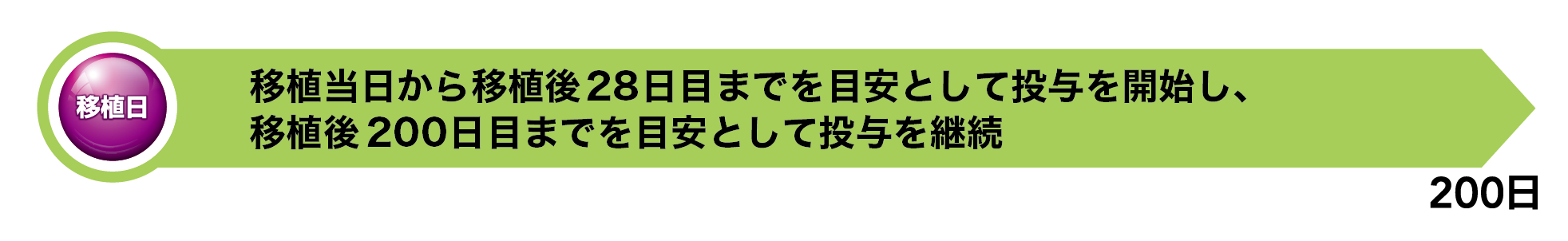 〈同種造血幹細胞移植〉