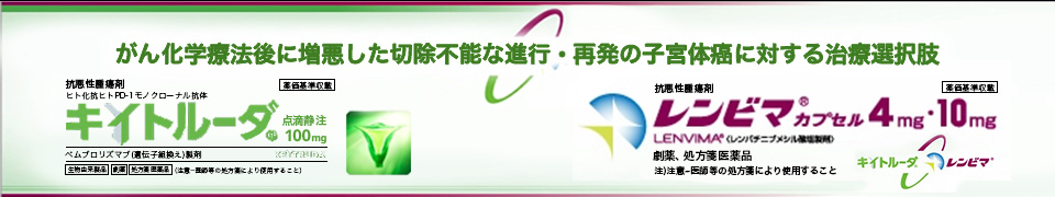 進行·再発の子宮体癌に対する 治療選択肢