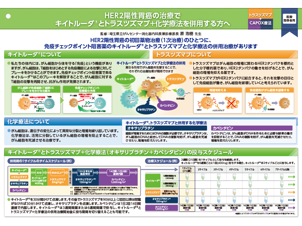 キイトルーダ®インフォームドコンセント用資料　患者説明用下敷き：〈HER2陽性胃癌〉