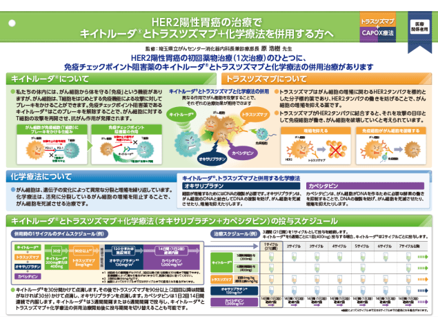 キイトルーダ®インフォームドコンセント用資料　患者説明用下敷き：〈HER2陽性胃癌〉