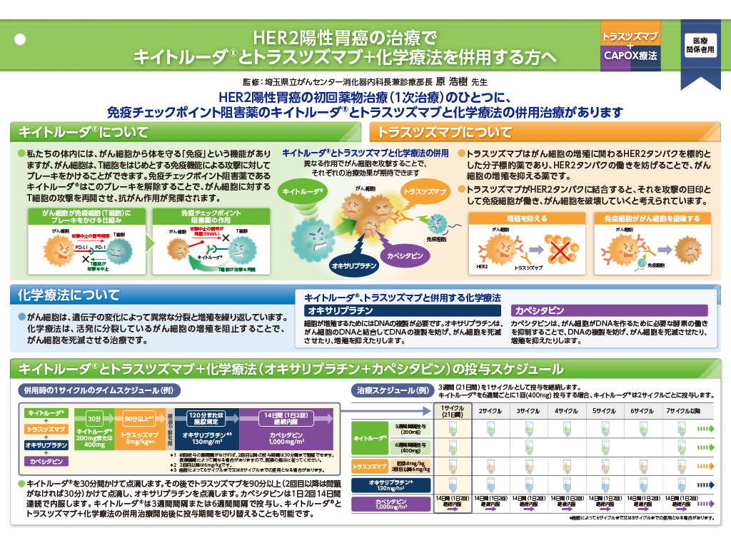 キイトルーダ®インフォームドコンセント用資料　患者説明用下敷き：〈HER2陽性胃癌〉
