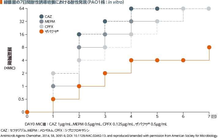 緑膿菌の7日間耐性誘導培養における耐性発現(PAO1株:in vitro)