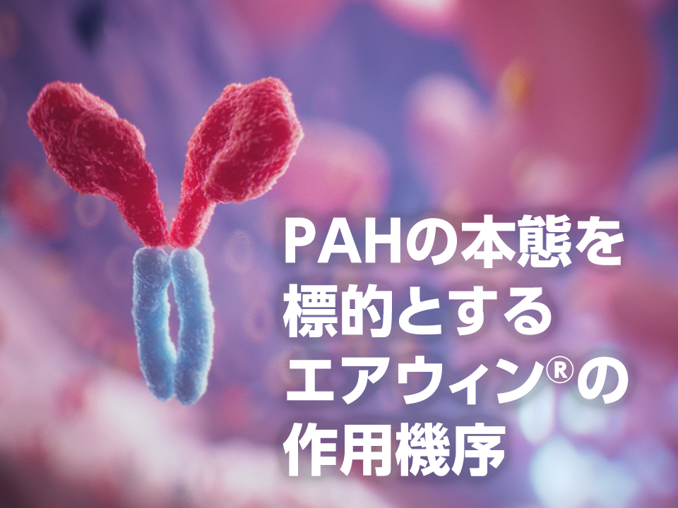 PAHの本態を標的とするエアウィン®の作用機序
