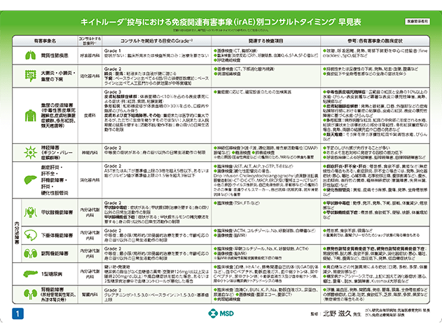 irAE別コンサルトタイミング早見表B4サイズ下敷き