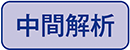 中間解析
