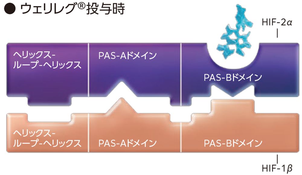 ウェリレグ®投与時