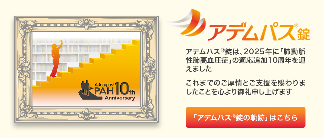 アデムパス PAH10年の軌跡