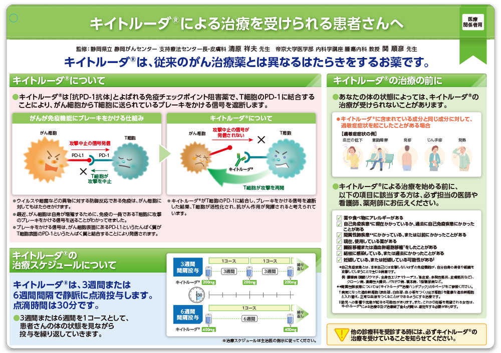 患者説明用下敷き