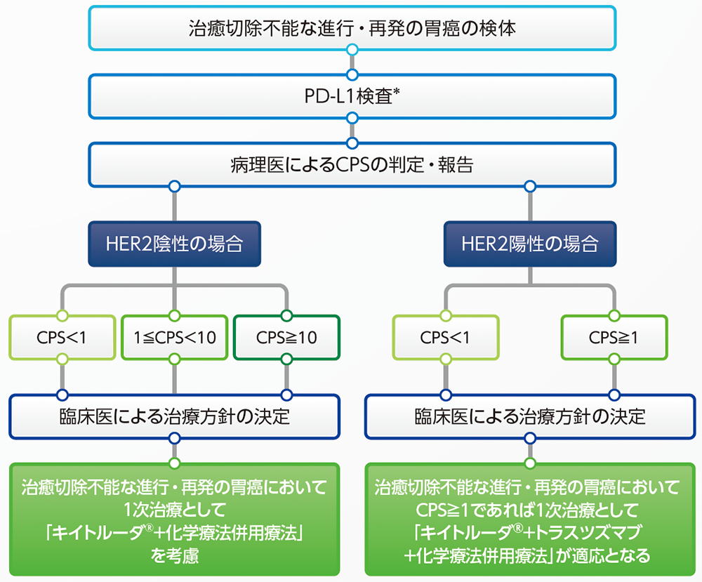 PD-L1 IHC 22C3 pharmDx「ダコ」（ASL48用）によるPD-L1検査のタイミング