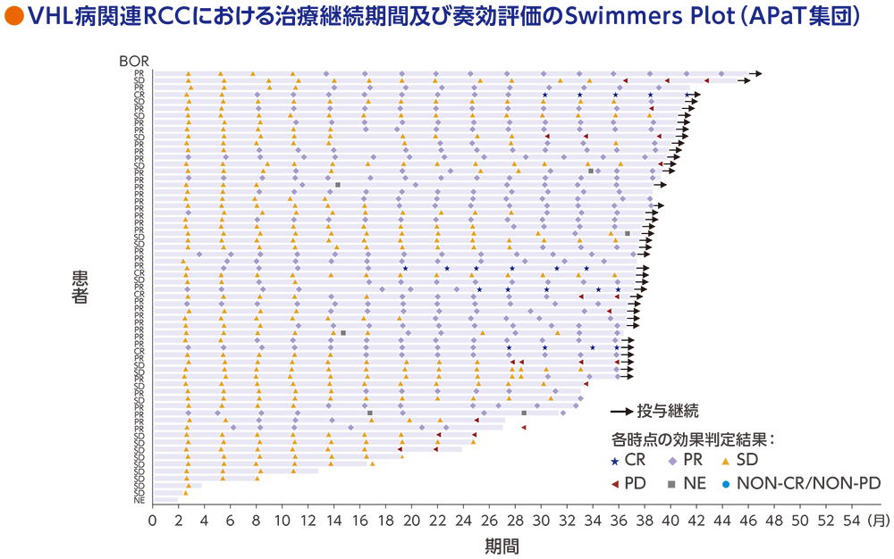 VHL病関連RCCにおける治療継続期間及び奏効評価のSwimmers Plot（APaT集団）