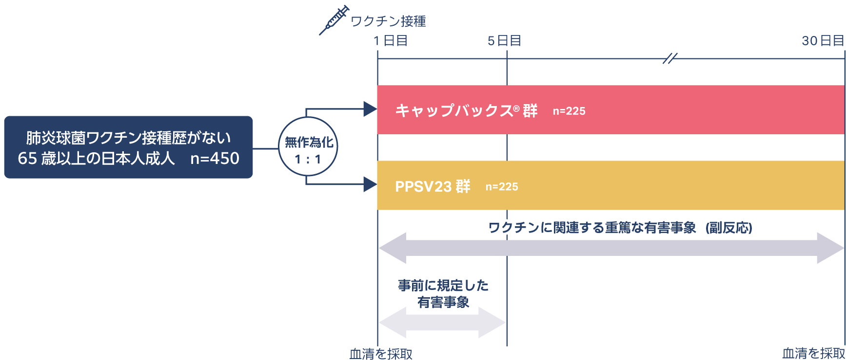肺炎球菌ワクチンの接種歴がない65歳以上の日本人成人を対象としたキャップバックス®とPPSV23の比較試験(STRIDE-9試験)の試験デザイン 