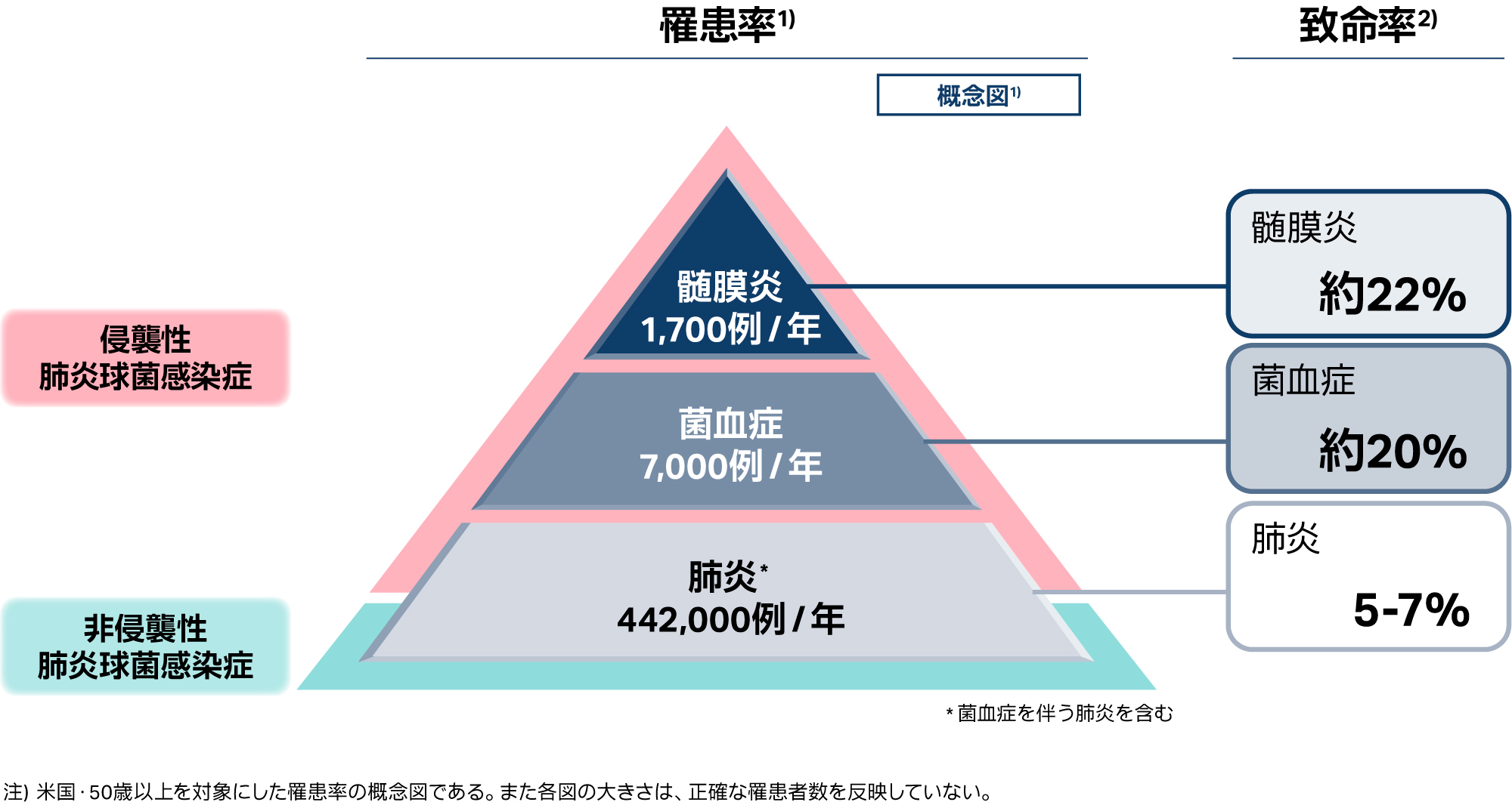 成人における肺炎球菌感染症の罹患率と致命率