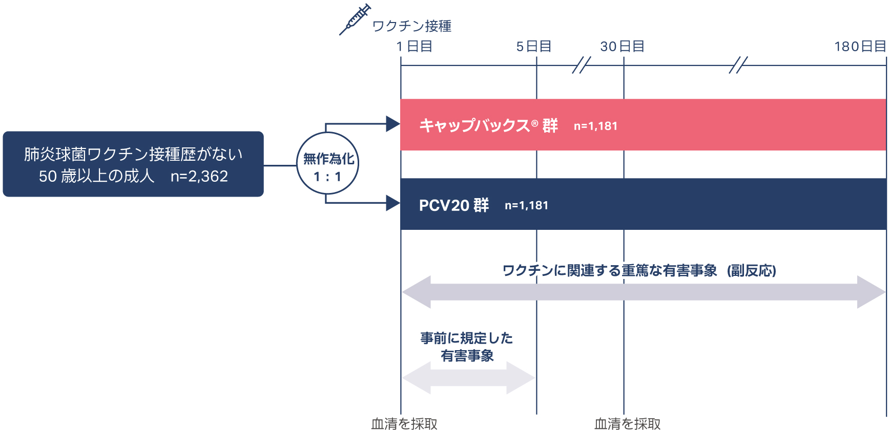 肺炎球菌ワクチンの接種歴がない成人を対象としたキャップバックス®とPCV20の比較試験（STRIDE-3試験）の試験デザイン
