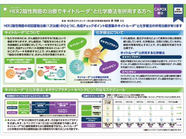 キイトルーダ®インフォームドコンセント用資料　患者説明用下敷き：〈HER2陰性胃癌〉