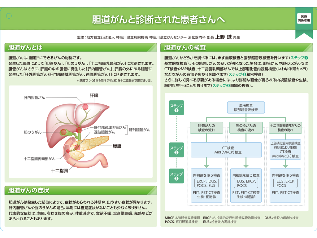 キイトルーダ®インフォームドコンセント用資料　患者説明用下敷き：＜胆道癌＞