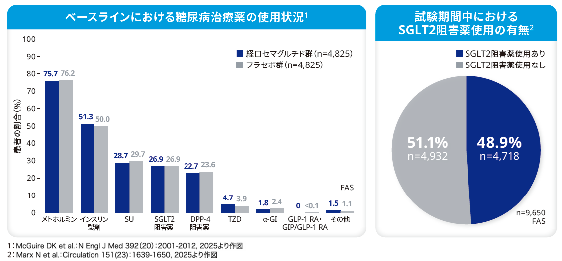 SOUL:ベースラインにおける糖尿病治療薬の使用状況SOUL