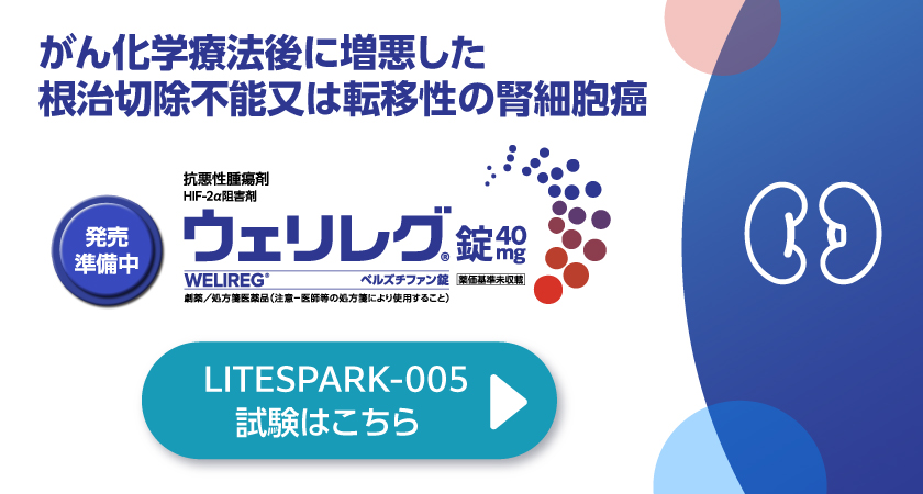 がん化学療法後に増悪した 根治切除不能又は転移性の腎細胞癌