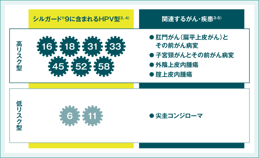 図2:シルガード®9に含まれるHPV型が原因となるHPV関連がん・関連疾患
