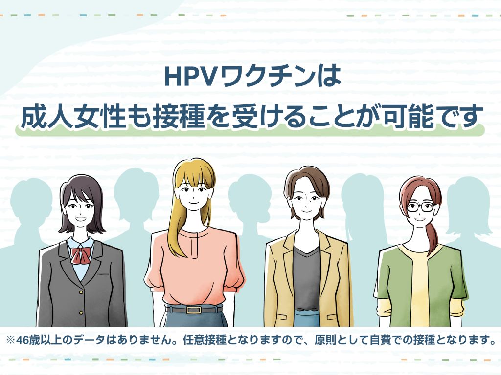 成人向け 院内サイネージ用映像