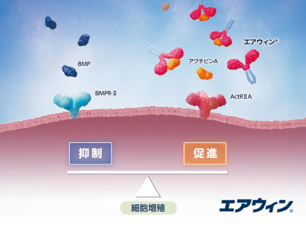 作用機序