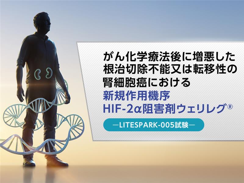 がん化学療法後に増悪した根治切除不能又は転移性の腎細胞癌における新規作用機序 HIF-2α阻害剤ウェリレグ®―LITESPARK-005試験―