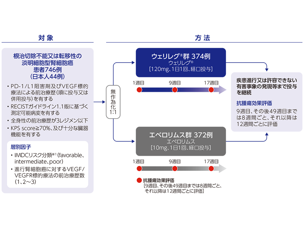 国際共同第Ⅲ相試験<LITESPARK-005試験>