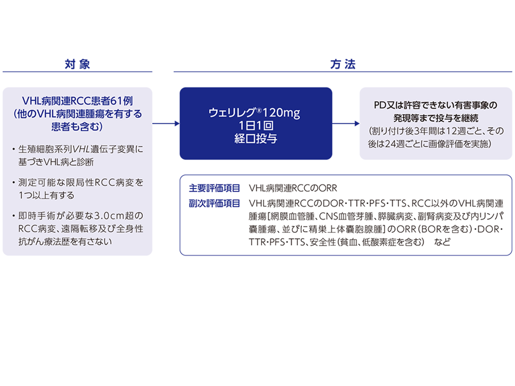 海外第Ⅱ相試験＜LITESPARK-004試験＞