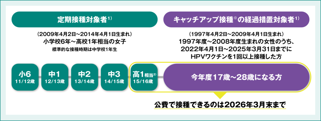 図2_『HPVワクチンの公費助成 2025年度の対象年齢』のインフォグラフィック