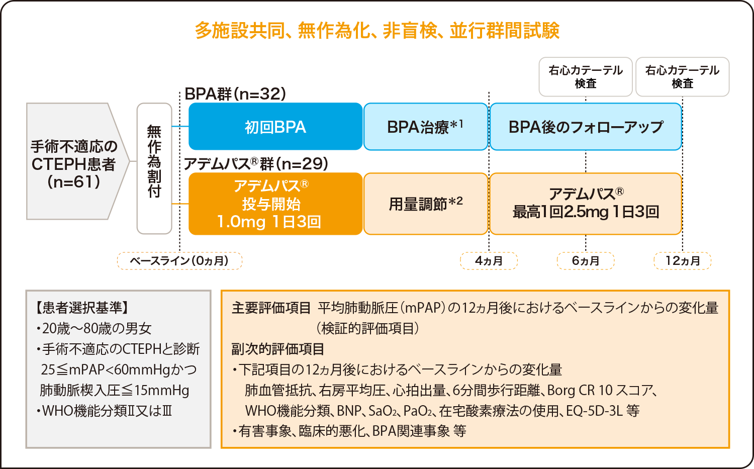 国内無作為化比較試験（MR BPA試験） 試験デザイン