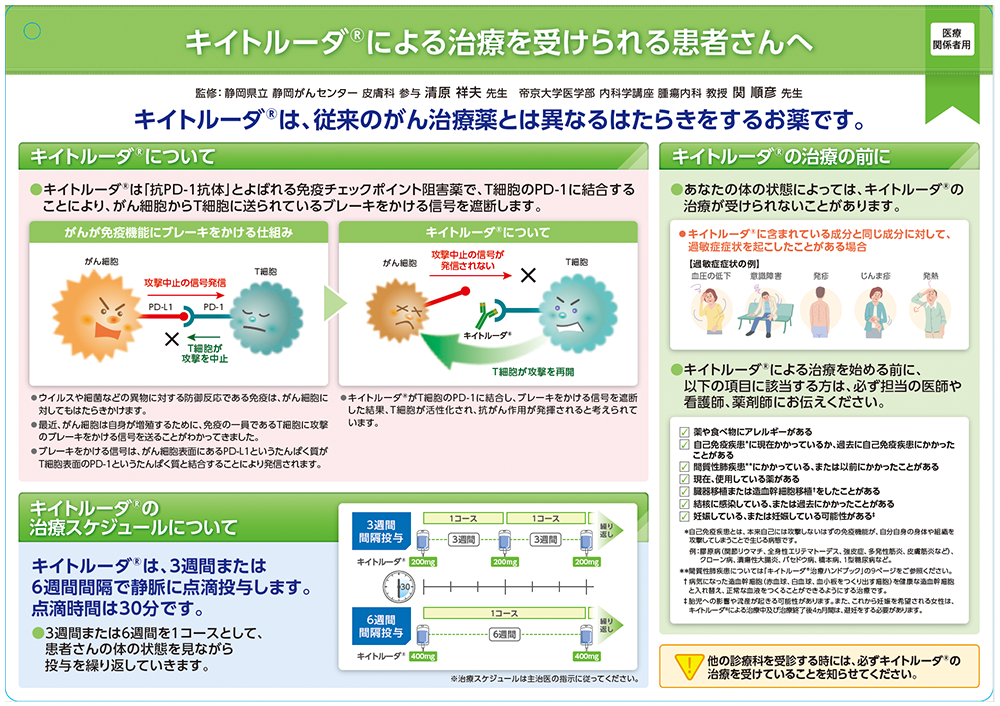 患者説明用下敷き
