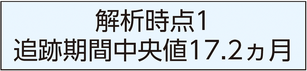 解析時点1 追跡期間中央値17.2ヵ月