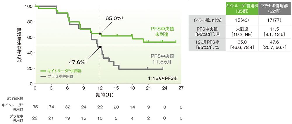 PFSのKaplan-Meier曲線(日本人集団)