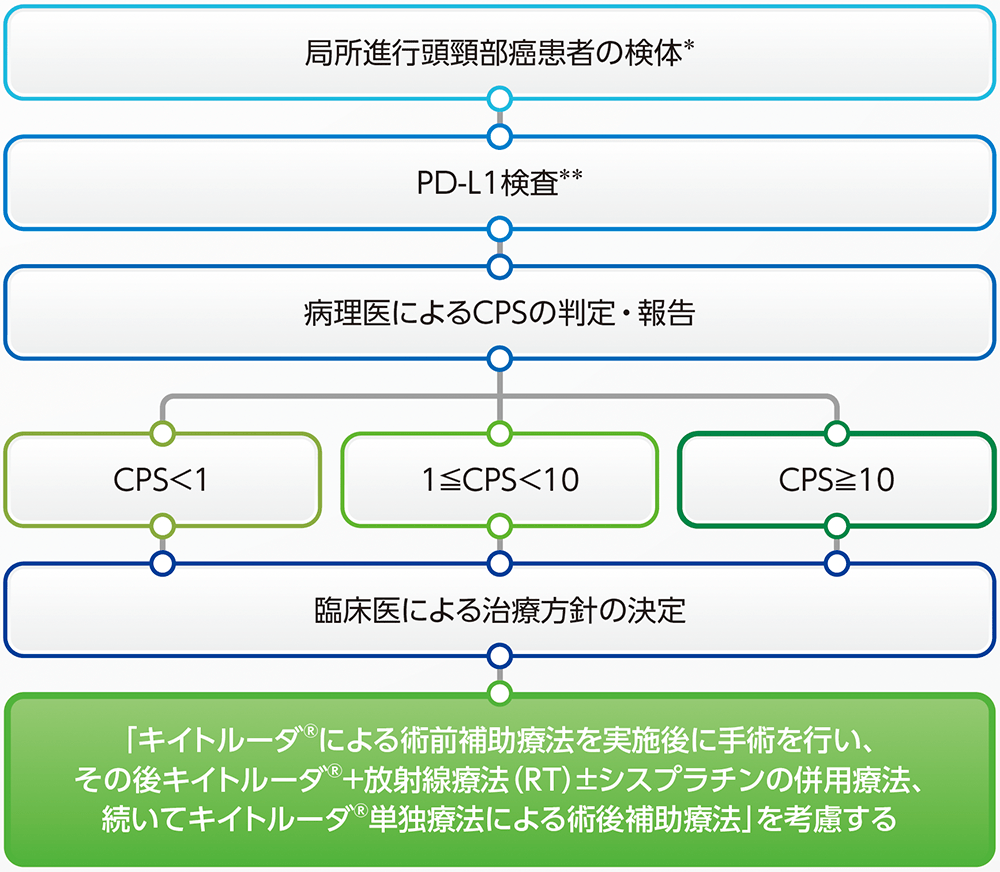 PD-L1検査のタイミング_局所進行頭頸部癌における術前・術後補助療法