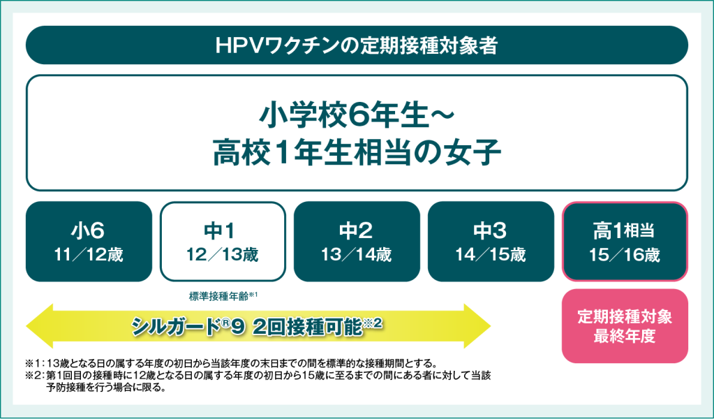 図1　定期接種対象者